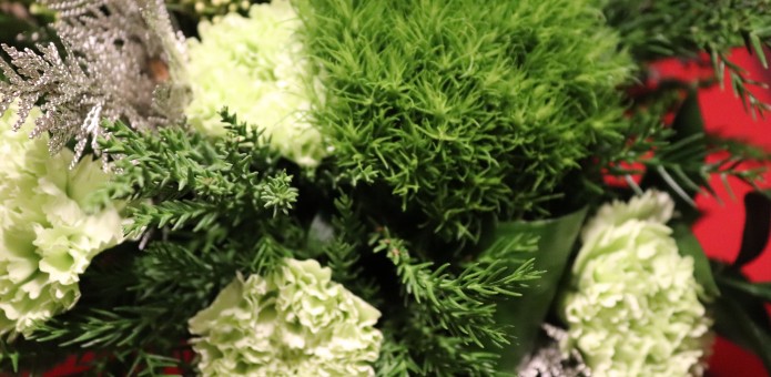 Marko Tervo, Punainen Risti